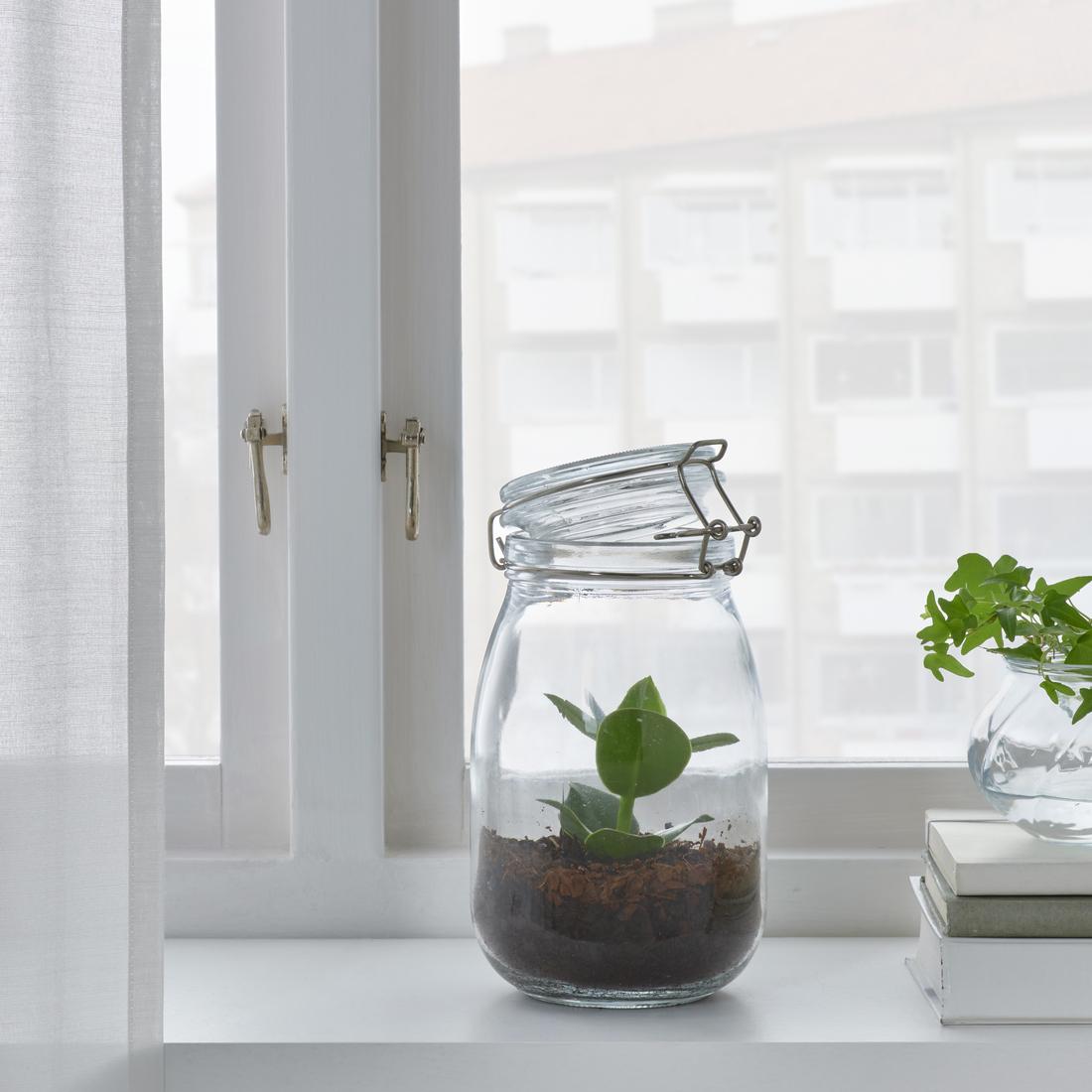 Atelier création d'un terrarium🌱