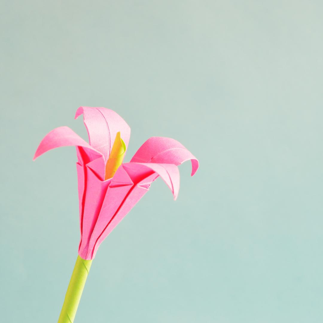 Atelier Smaland : Origami en fleurs