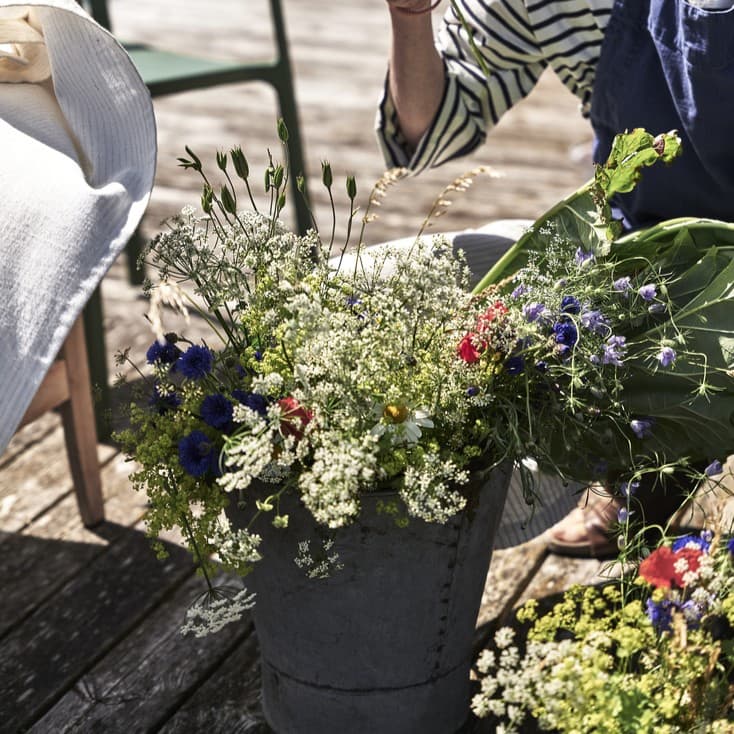 🌿 À vous de jouer 🌿 LE JUSTE PRIX