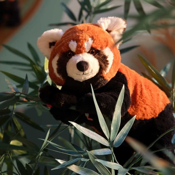 Trouve le mot mystère et gagne une peluche !