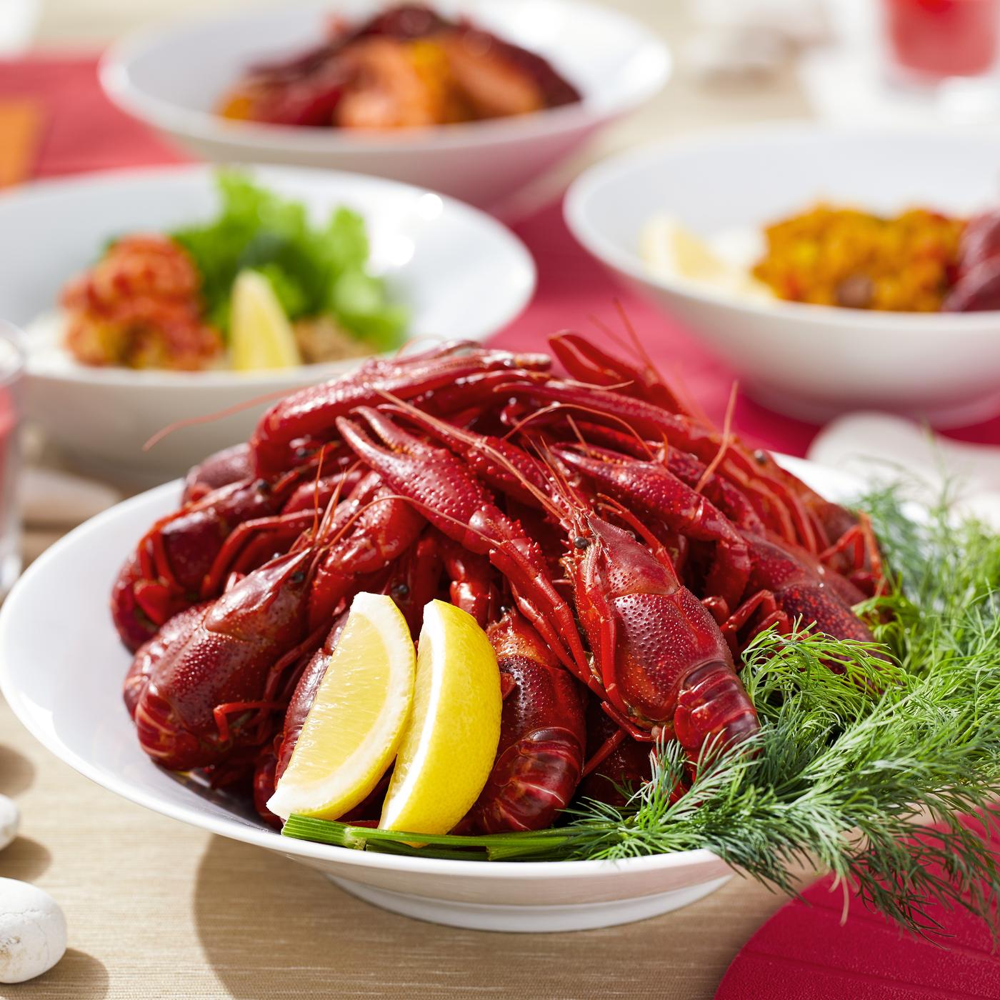 ザリガニパーティ2026