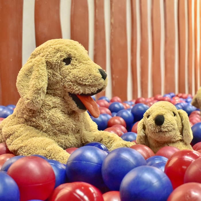 IKEA福岡新宮イベント - スモーランド パパママDAY