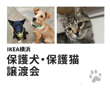 【IKEA横浜限定】保護犬猫譲渡会