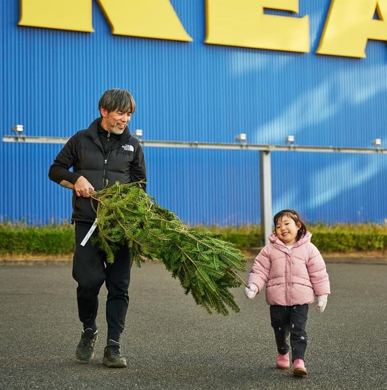 本物のモミの木 11月22日（土）から販売開始