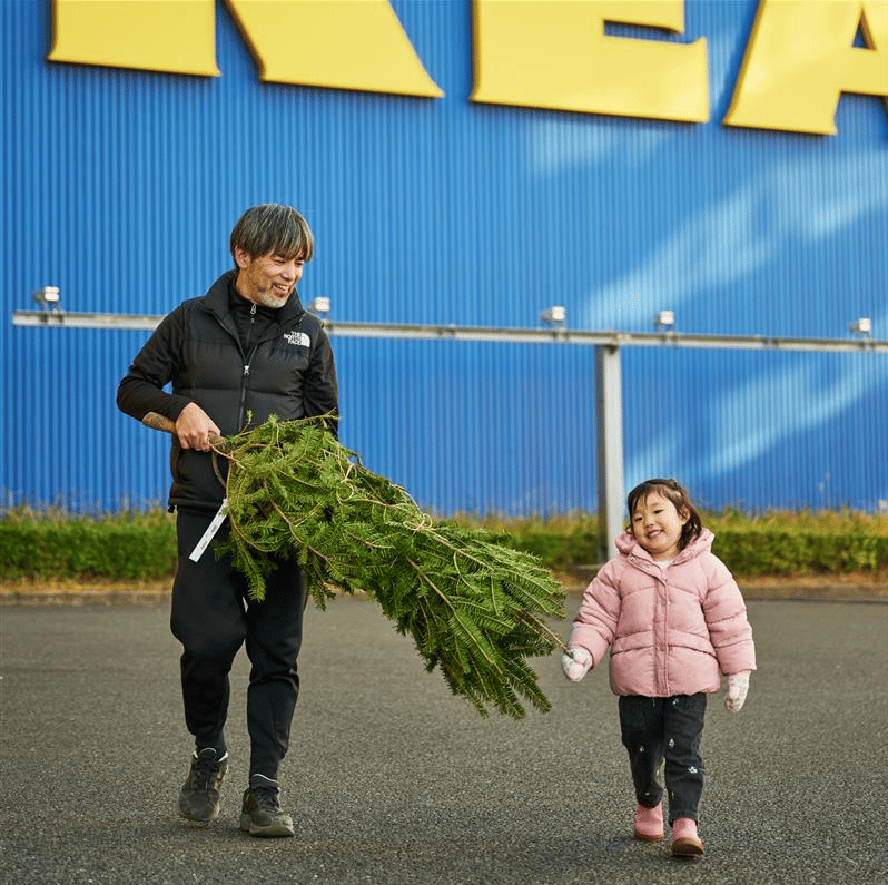 本物のモミの木 11月22日(土)から販売開始