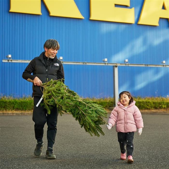 IKEA横浜ベイクォーター Event - 本年の本物のモミの木の返却は1月5日