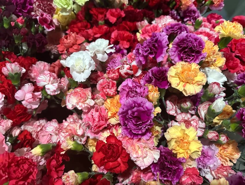 リユースカーネーションを生けよう!