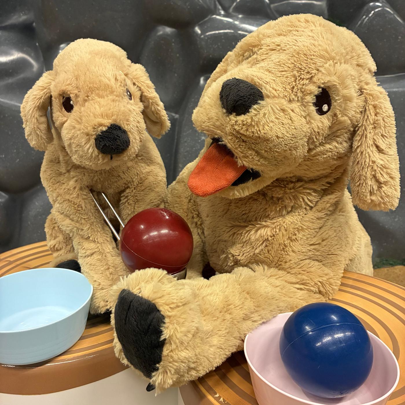 おたまでボールを運ぼう！