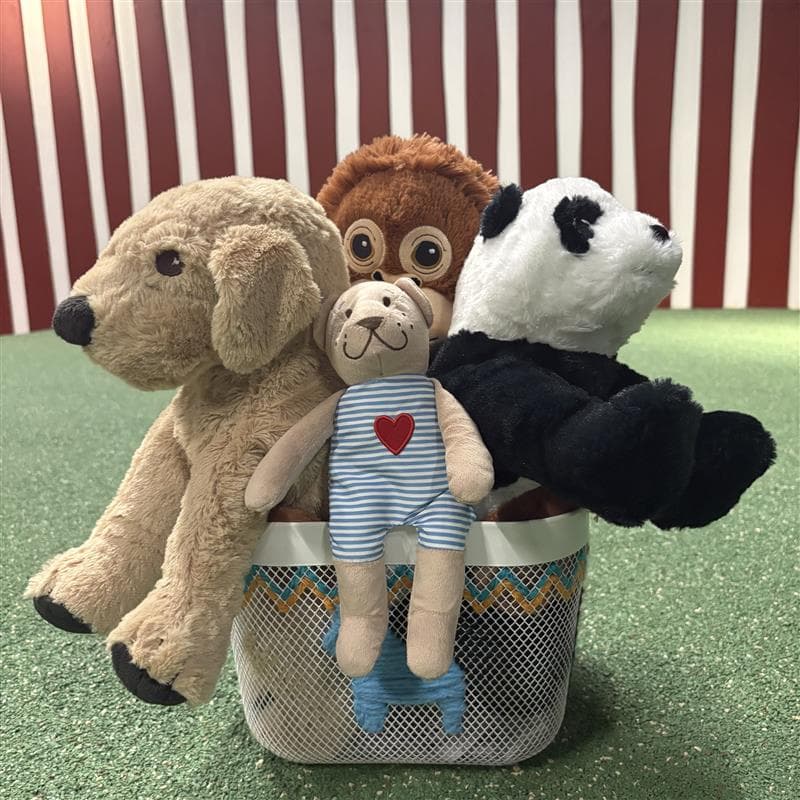 【9周年イベント】ぬいぐるみおかたづけレース!対象年齢:3歳児~未就園児までの部