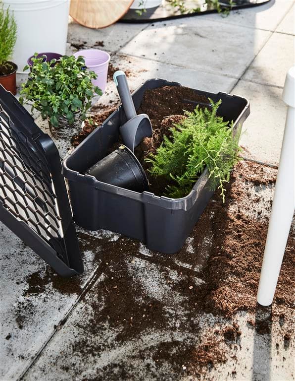 Ziua Pământului în Grădina Biodiversității IKEA