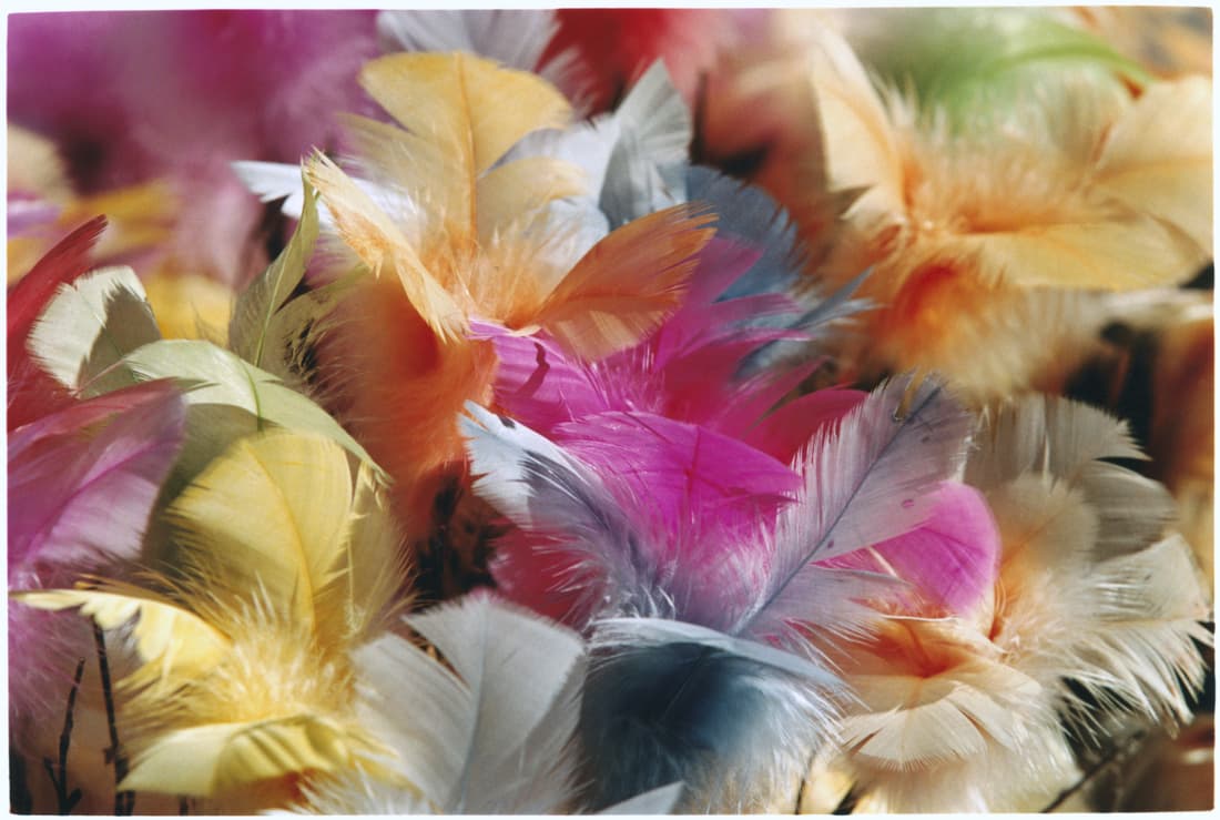 Atelierul penelor colorate