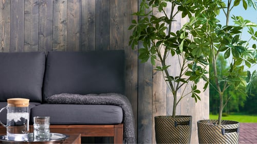 Plantas de suelo artificial