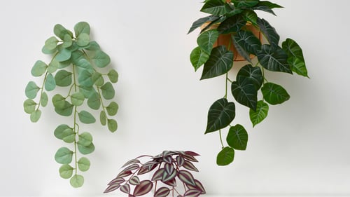 Plantas de pared artificial