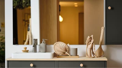 HAVBÄCK mirror & mirror cabinets