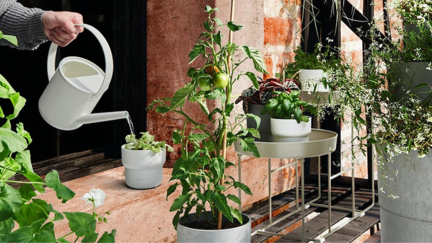 室内植木鉢・鉢カバー｜IKEA【公式】家具・インテリア雑貨通販
