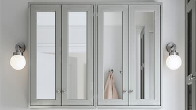 TÄNNFORSEN mirror & mirror cabinets