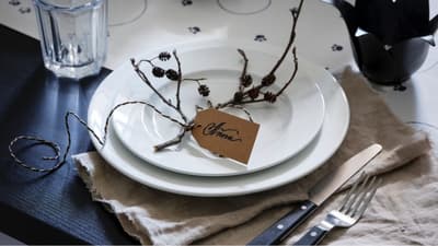 VARDAGEN dinnerware