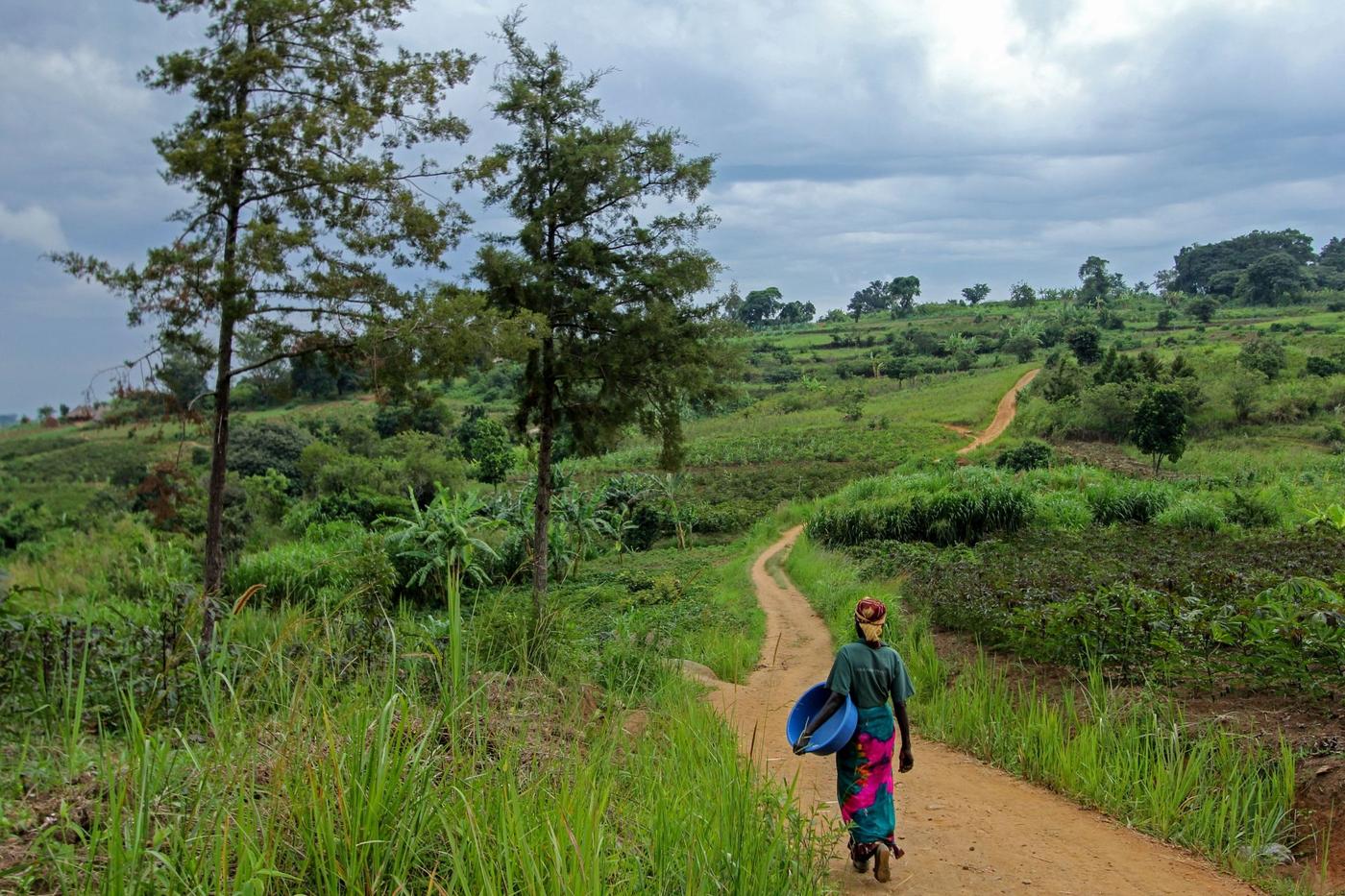 Person walking on a country road in a lush green landscape.