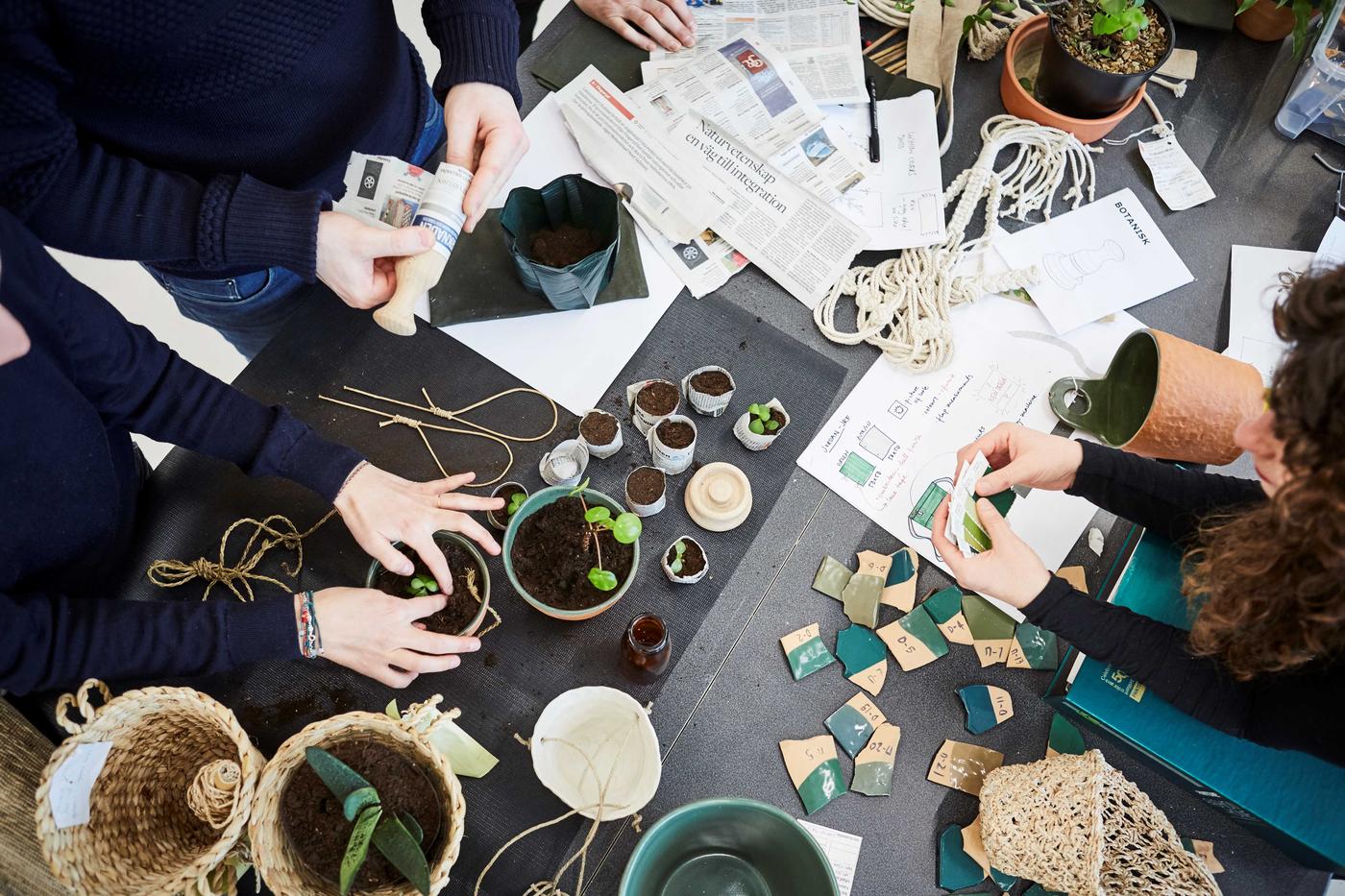 People gathered around a worktop full of sketches, colour swatches and seedlings being potted in newspaper strips.
