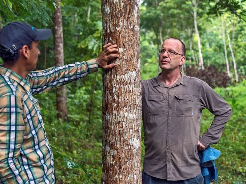 Two men look at a tree. One man with a cap has his hand on the tree.