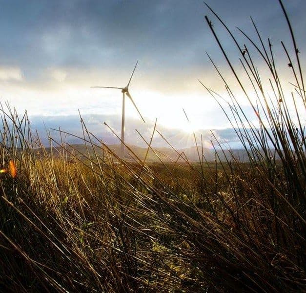 Wind turbine with a cloudy sky and long grass in the foreground.