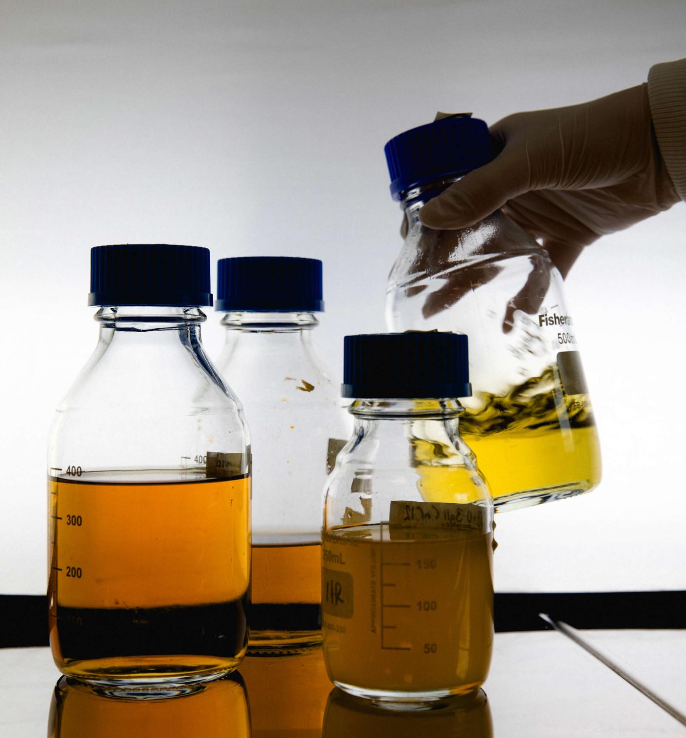 A gloved hand putting down a laboratory bottle containing amber-coloured liquid next to three similar bottles.
