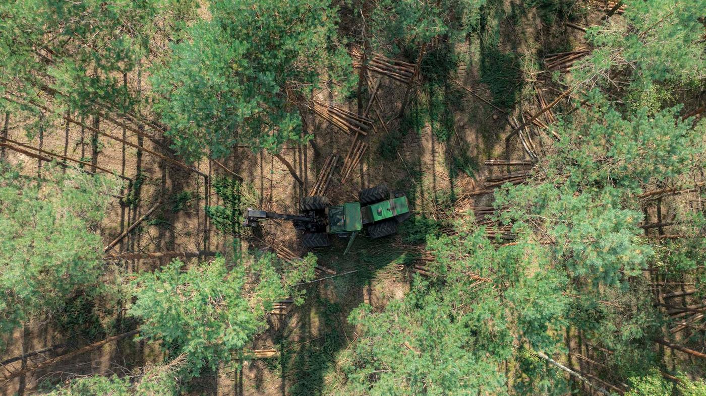 An overhead shot of a green harvester machine in a forest surrounded by trees and logged tress.