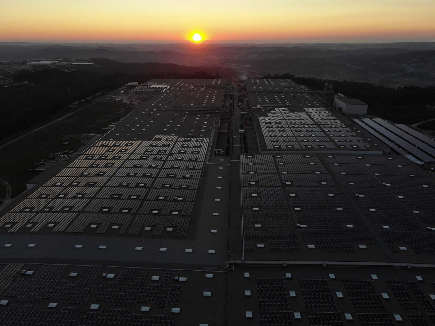 The sun rises over the countryside. In the foreground are rows and rows of solar panels, creating solar energy.