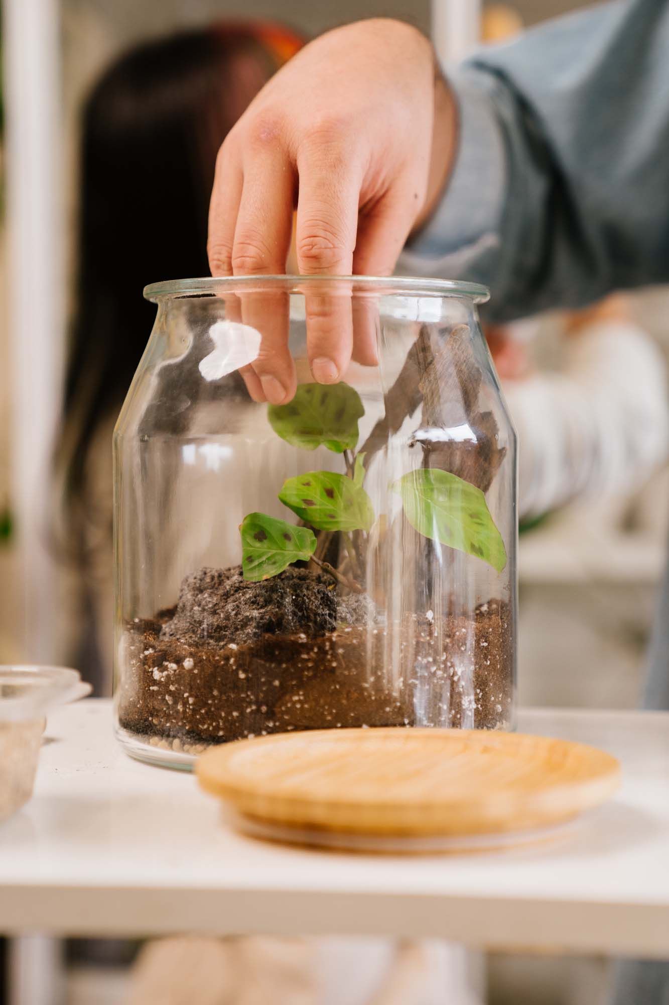 IKEA everyday rituals: What's your ritual? – IKEA Global