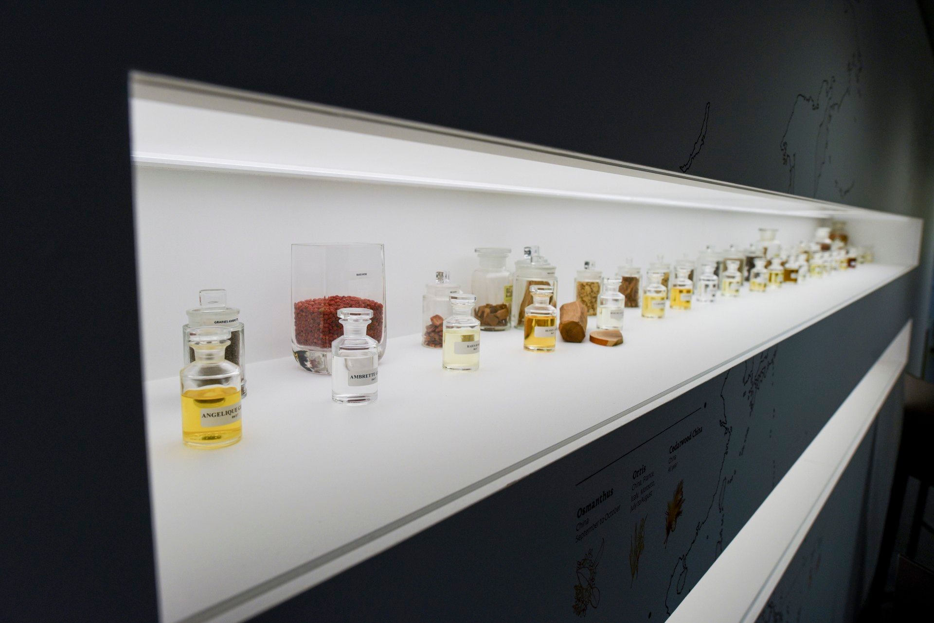 Home fragrances: a portal to memories and emotions – IKEA Global