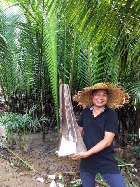 A smiling man holding a tree trunk in front of a forest of leaf-like nipa palm trees.