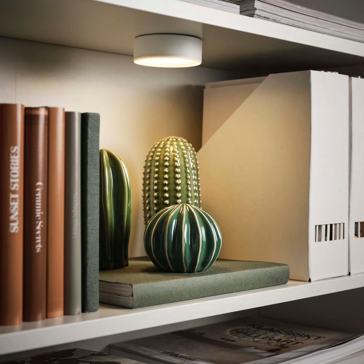 A close-up of a bookshelf with a round, illuminated spotlight shining down on an ornament.