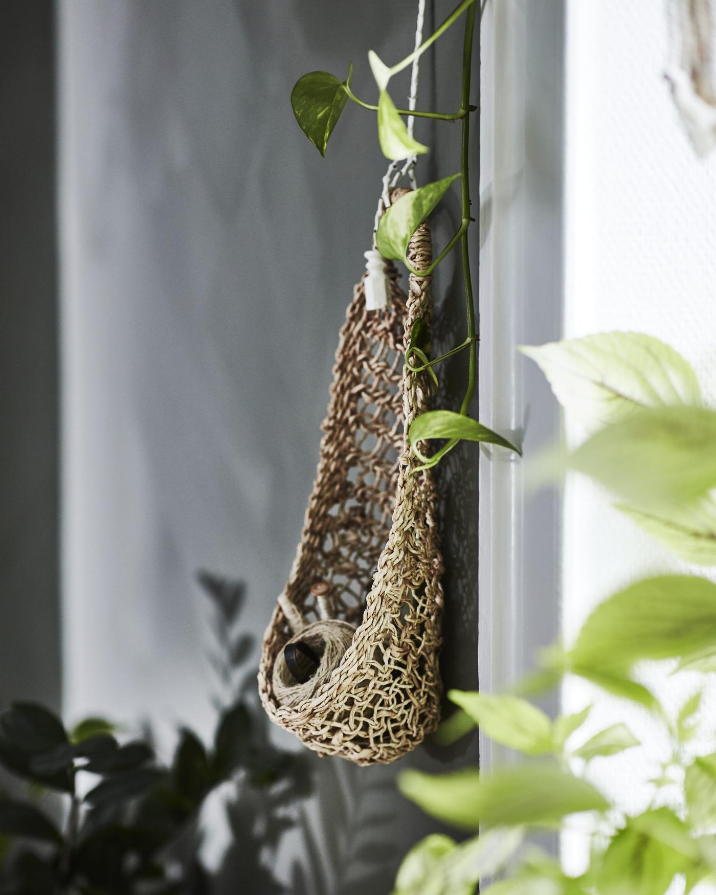 A hanging basket on a white wall surrounded by plants.