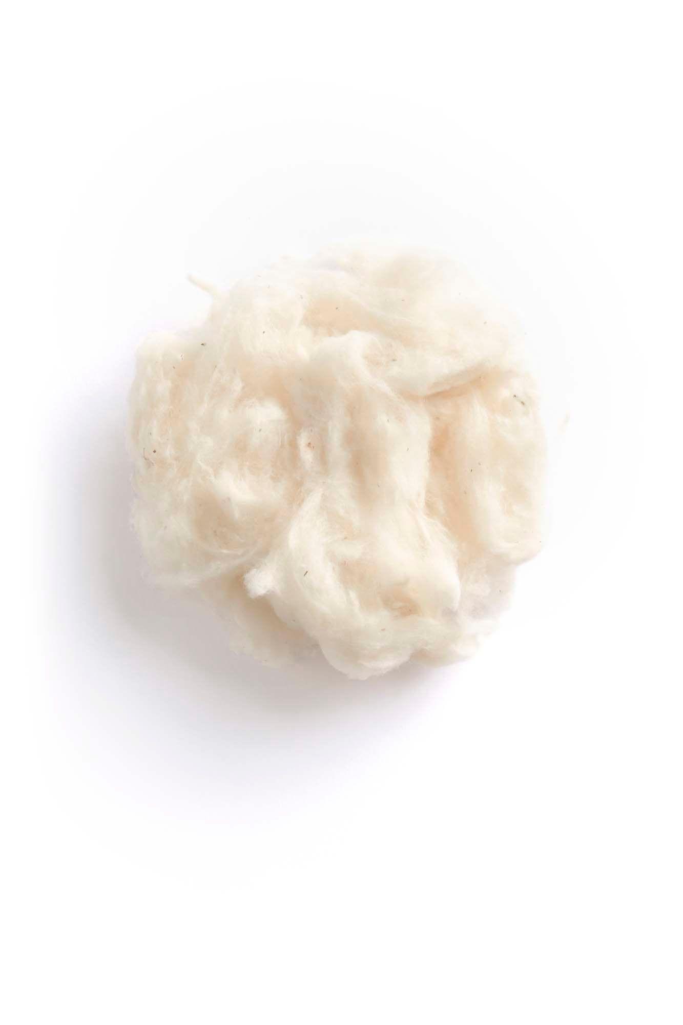 A circular cluster of cotton fibres.