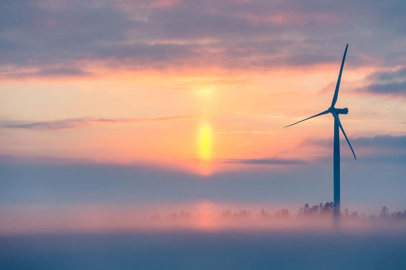 A wind turbine stretching over the tree tops in an open and foggy landscape.