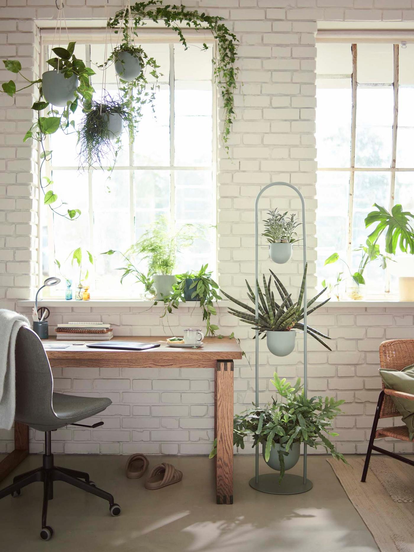 Plants in DAKSJUS plant containers surround a desk in a white brick room with windows.