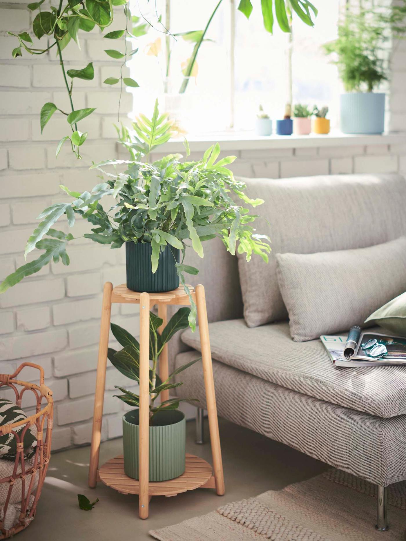 A planter from the DAKSJUS collection with two plants, next to a sofa. The room has white brick walls and a window.