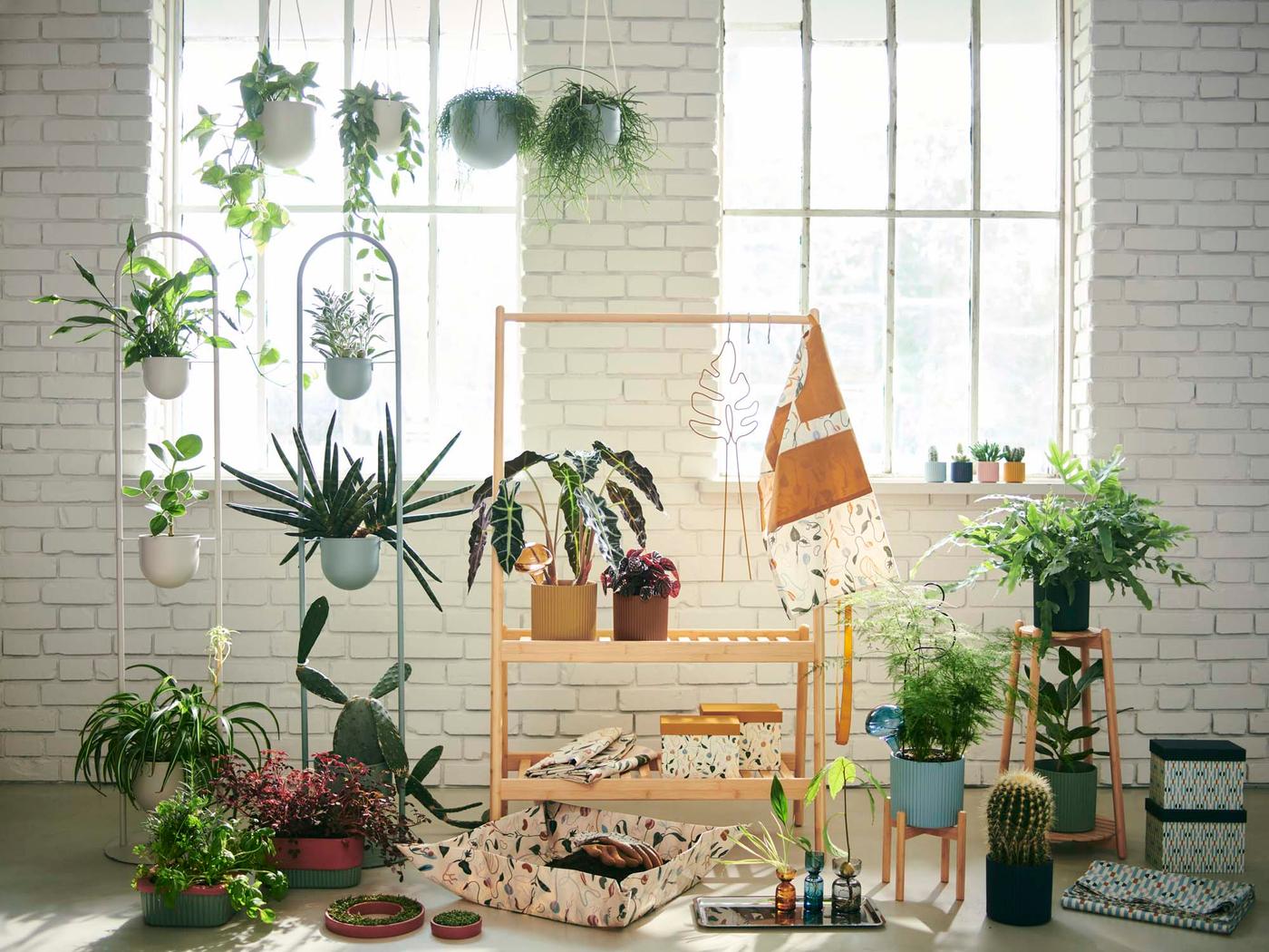 A collection of plants in various pots, both hanging and on plant stands, in a room with white brick walls and large windows.