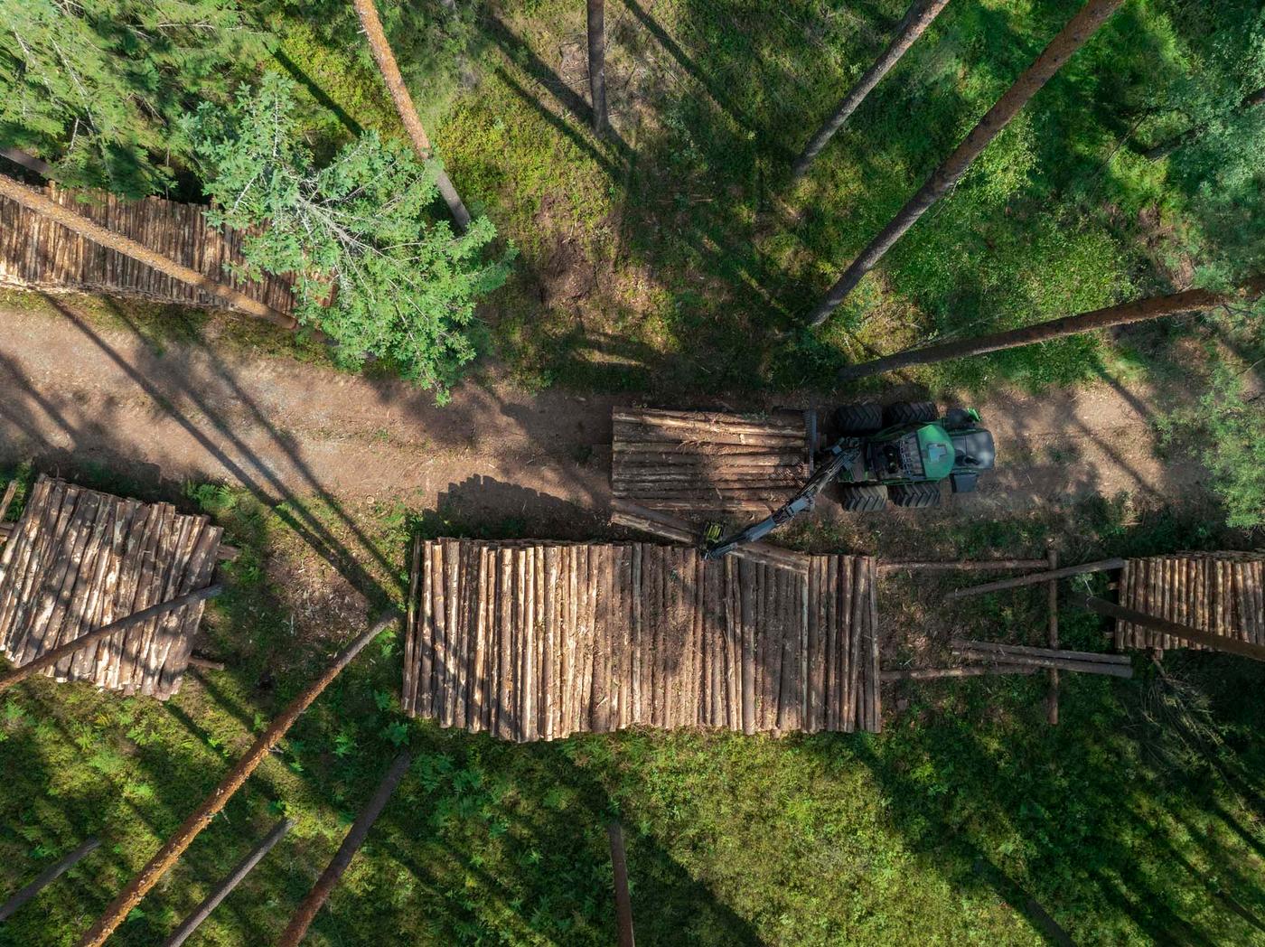 An overhead shot of a forest floor with a forestry vehicle moving logged timber.