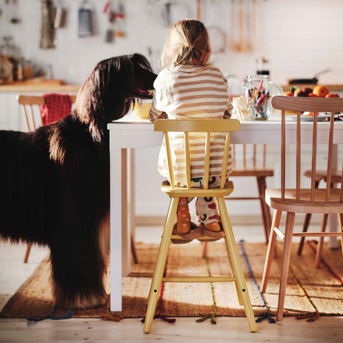 A big black dog stands beside a child sitting at the kitchen table on a high yellow chair.