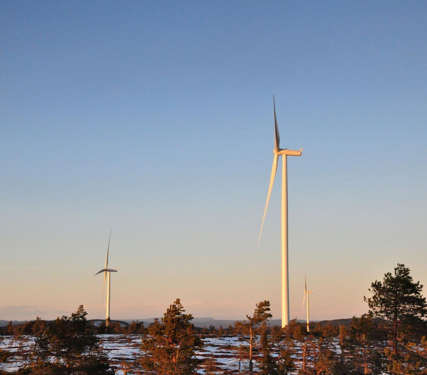 Three windmills with a blue sky and some trees in the foreground.