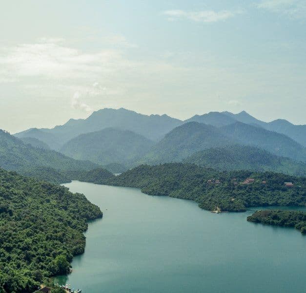 Skyline view of Acacia tree landscape in Vietnam.
