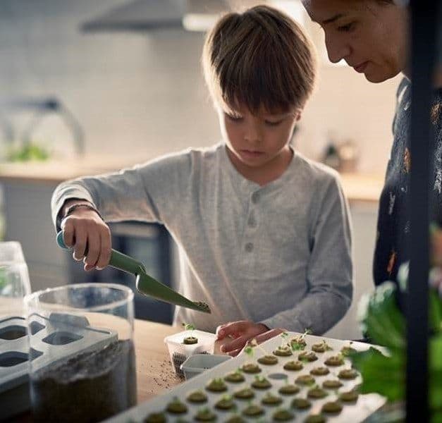 A young boy and his mum planting seedlings while in the kitchen.