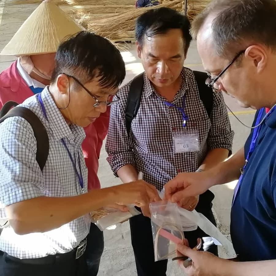 The wood we use IKEA Global