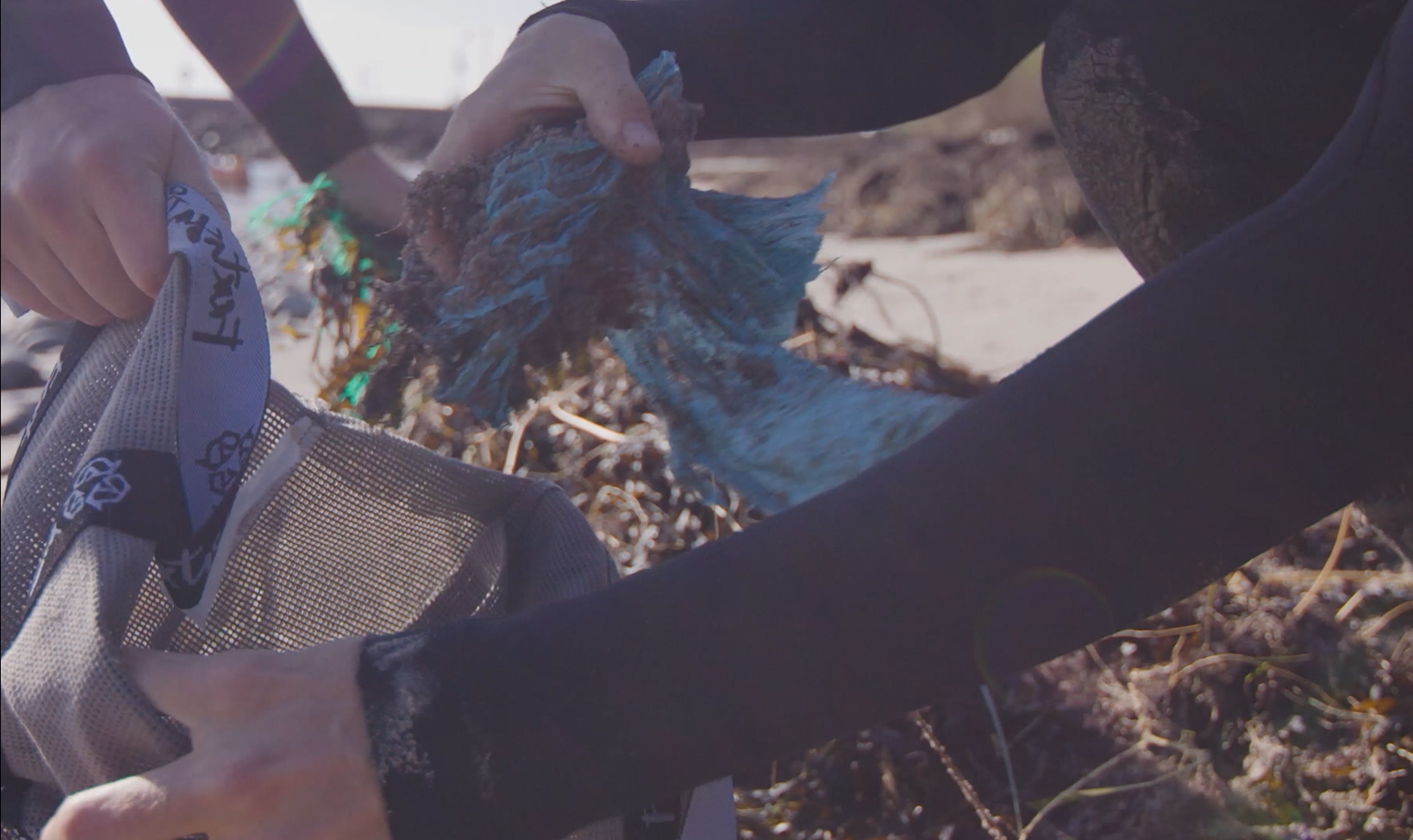 People stuff beach debris into a fabric bag.