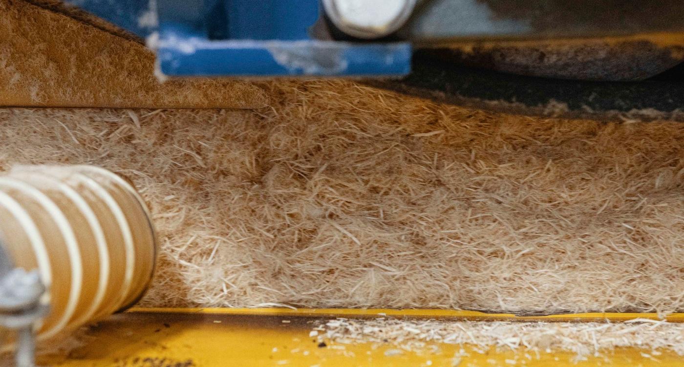 Shavings of wood being pressed into wood wool.