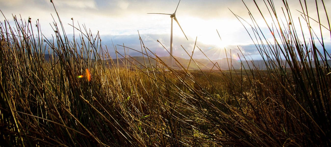 A sunset over a field with high, wild grass, mountains in the background and a wind turbine in the middle.