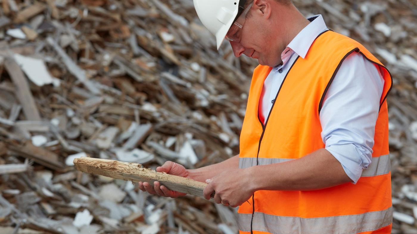 Our IKEA wood supply and forestry specialists IKEA Global