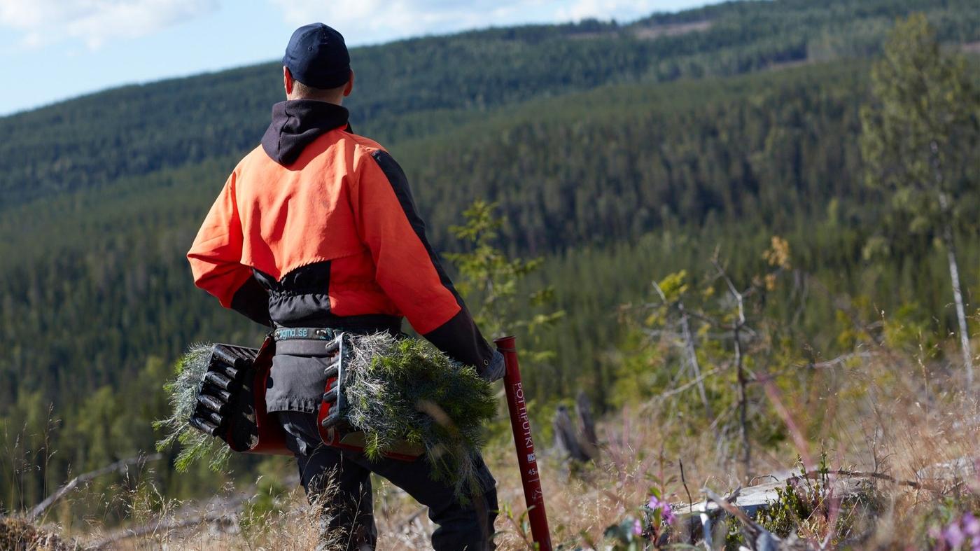 Why do we use FSCcertified wood? IKEA Global