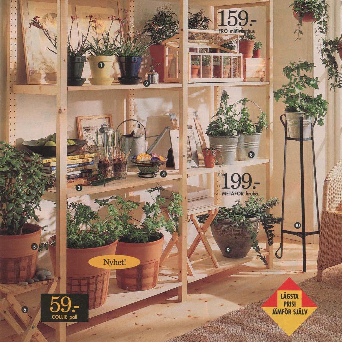 Wooden shelves filled with potted plants.